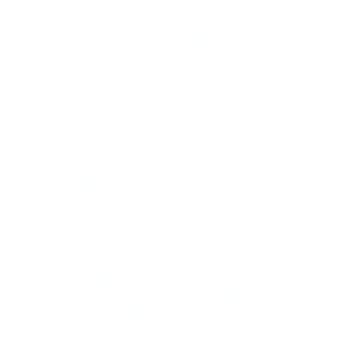 5icons_10y - Saltea.md - Saltele Ortopedice